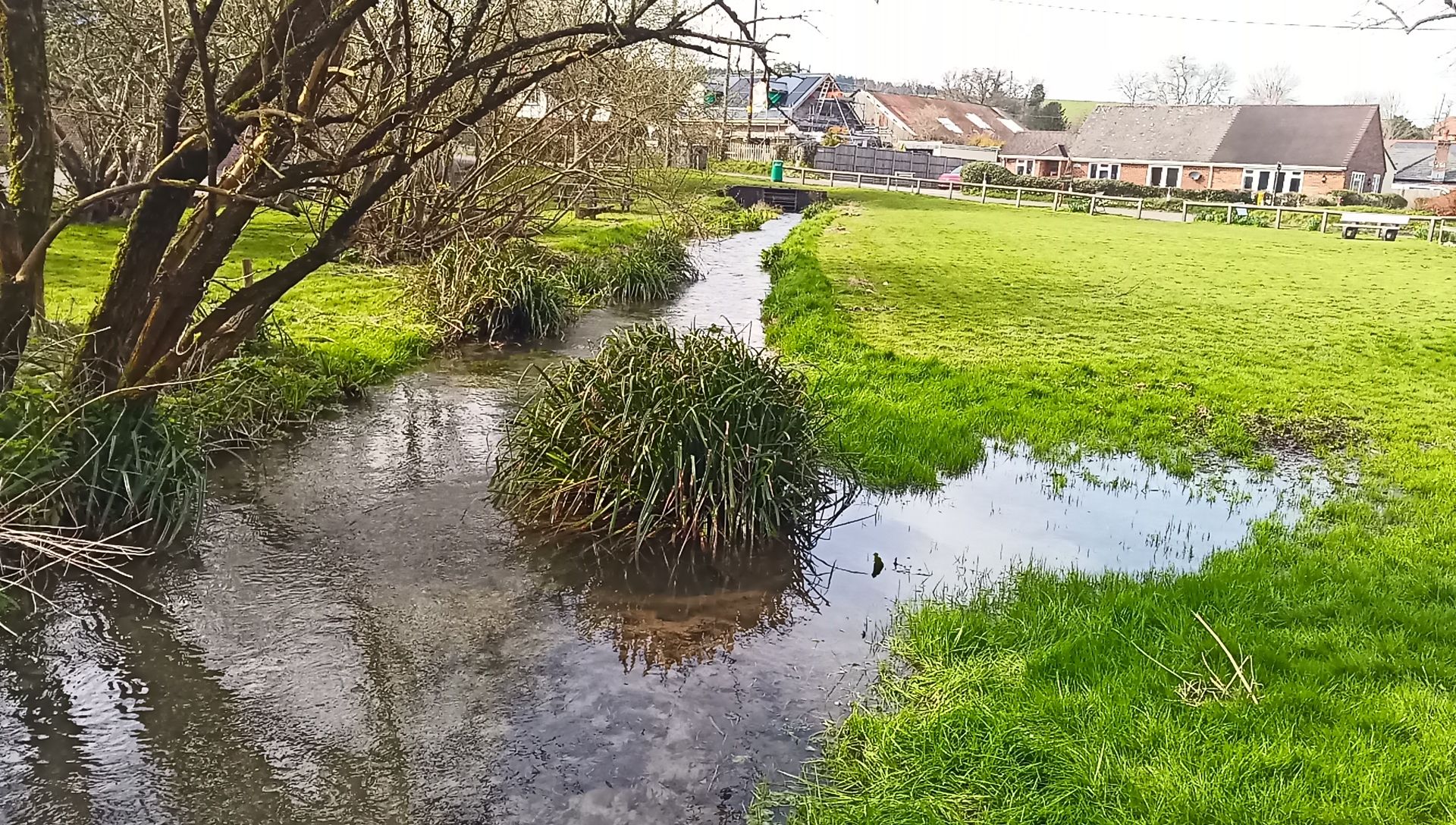 Winterborne Stickland